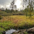 The Importance of Celebrating Environmental Sustainability in King County, Washington