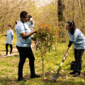 The Power of Community: Celebrations in King County, Washington