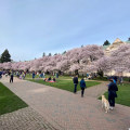 Celebrating Diversity: A Look at How Schools and Universities in King County, Washington Celebrate