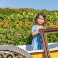 Exploring Family-Friendly Celebrations in King County, Washington