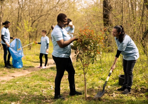 The Power of Community: Celebrations in King County, Washington
