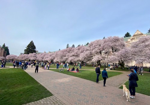 Celebrating Diversity: A Look at How Schools and Universities in King County, Washington Celebrate
